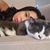 Portia Jane's profile image