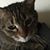 Nancy Peterson's profile image