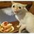 Mauricio Fernandez's profile image