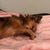 Ranee De La Rosa's profile image