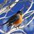 Jayne Mundell's profile image