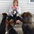Carrie Oden's profile image