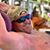 Shane Miller's profile image