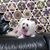 Linda Brandell's profile image