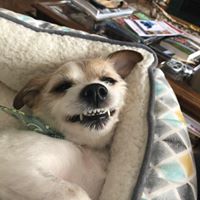 Emily Atkinson's profile image