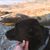 Marlin Nissen's profile image