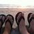 Julie Driskell Nelson's profile image