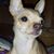 Donna Thompson's profile image
