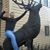 Wade Sammons's profile image
