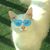 Darrell Lampkins's profile image