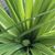 Lisa Rivas Evans's profile image