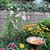 Susan Adams Brown's profile image