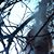 Shayah Morte's profile image