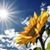 Stephanie Dreiling Hempel's profile image