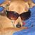 Anne Barrington Losack's profile image