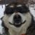 Paul Hashimoto's profile image