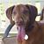 Lori Dyar's profile image