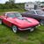 Mel Garrard's profile image