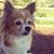 Kimmy Clegg-Oswald's profile image