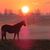 Ray Lippert's profile image