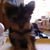 Debra Liddle's profile image