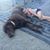 Nikki Hockenberger's profile image