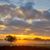 Kristy L Wheless's profile image