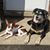 Cathy Rassega's profile image