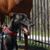 Jeffery A Neu's profile image
