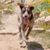 Marion McDevitt's profile image