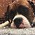 Candy Rister's profile image
