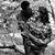 Carissa Balow's profile image