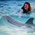 Stephanie Lambrecht's profile image