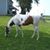Tammy Kay Greer DeGood's profile image