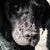 Jacqueline Hubbard's profile image