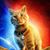 Chris Murphy's profile image