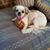 Janice McCormack's profile image