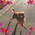 Megan Carlson Euper's profile image