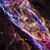 Regina Saintours's profile image