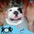 Ann Baitone's profile image