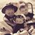 Donna Giannantonio's profile image