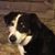 Sue Malmstrom's profile image
