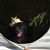 Bella McDee's profile image