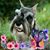 Barbara Johannsen Kendell's profile image