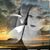 Blanca E Alegria's profile image