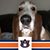 Garrett Pressley's profile image