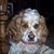 Patricia Laugen's profile image