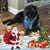 Kathie Haney Federoff's profile image