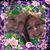 Betty K Skoler's profile image