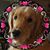 Karen Duller's profile image